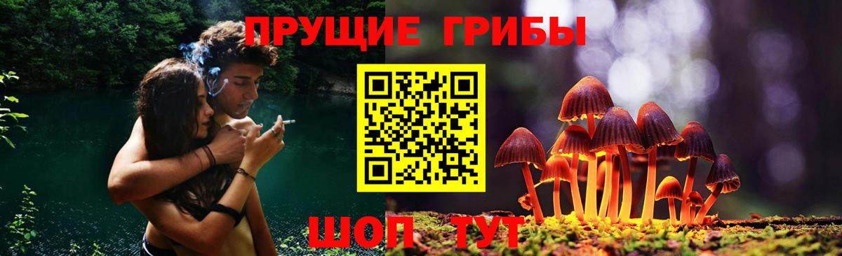 Дагестанские Огни  дарнет шоп  Вход с VPN  Псилоцибиновые грибы мухоморы 